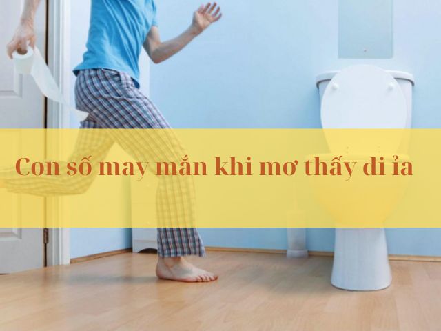 Đánh số bao nhiêu khi mơ thấy đi ỉa?